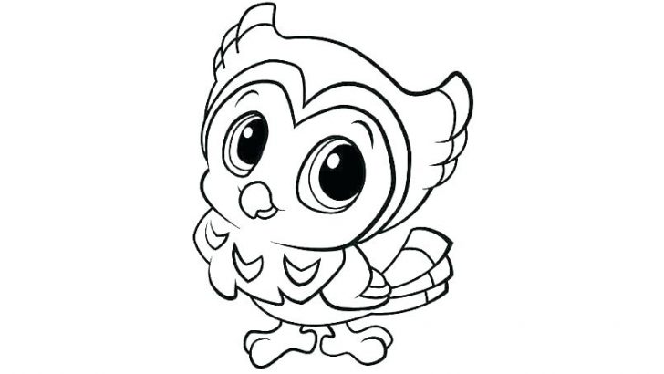 728x410 Hippo Drawing Coloring