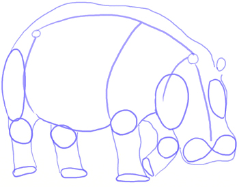 350x274 How To Draw A Hippopotamus