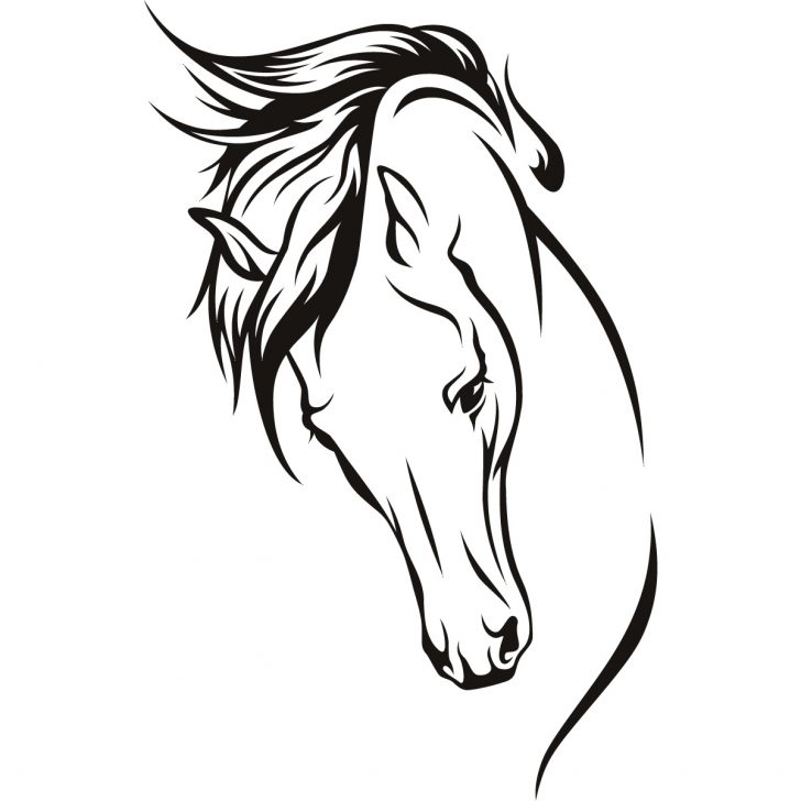 728x728 exceptional cute horse drawings wall art videos baby