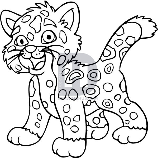 599x597 How To Draw Baby Jaguar From Go Diego, Step
