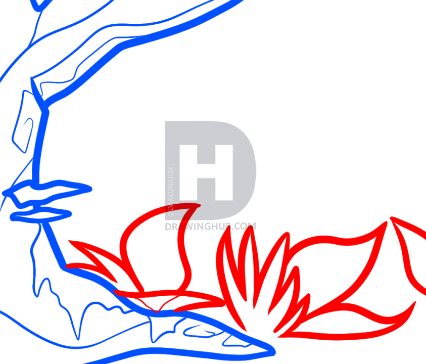 843x720 How To Draw A Jungle For Kids, Step