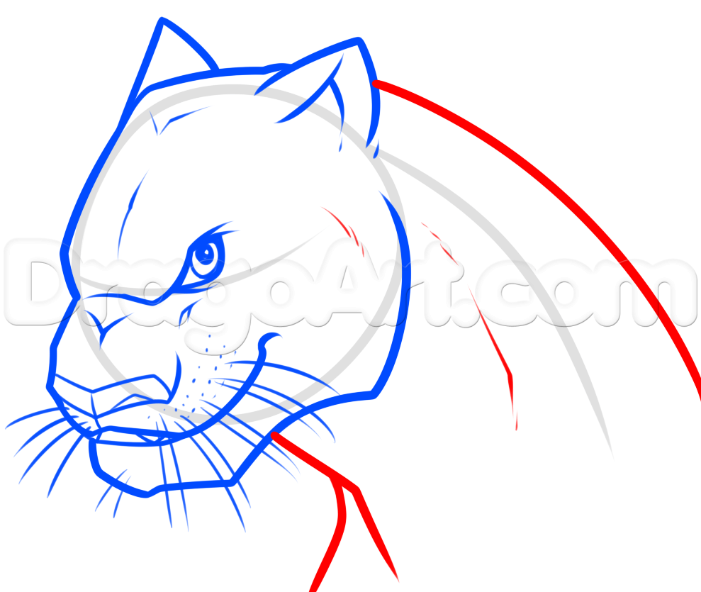 989x835 Step Drawing Bagheera From The Jungle Book