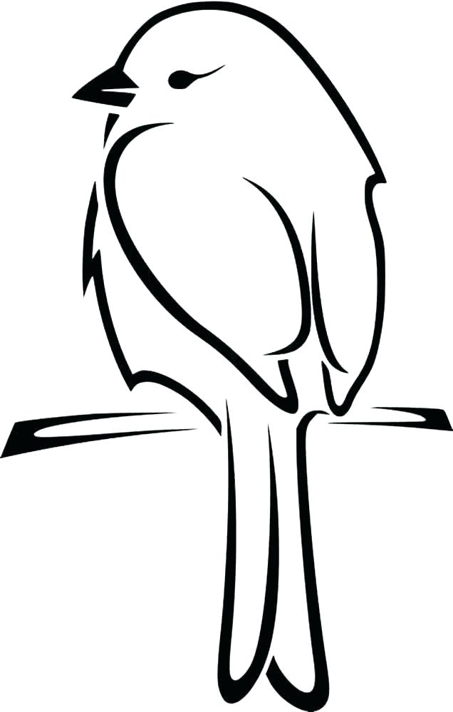 636x999 Bird Drawing Cartoon