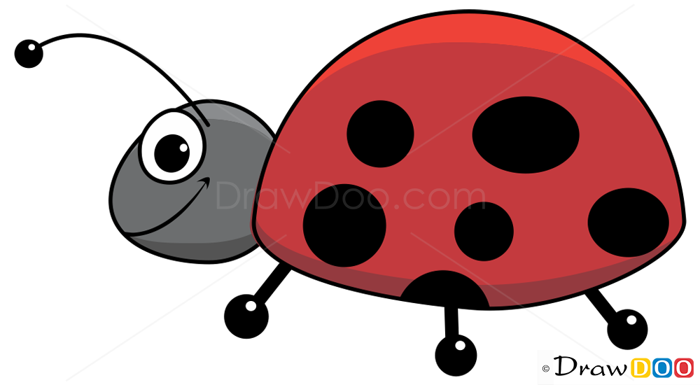 1000x550 Easy Ladybug Drawing