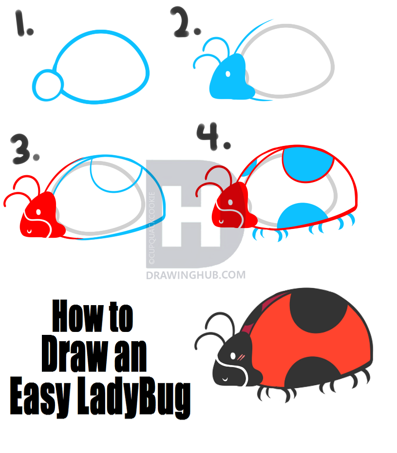 815x928 How To Draw An Easy Ladybug, Step