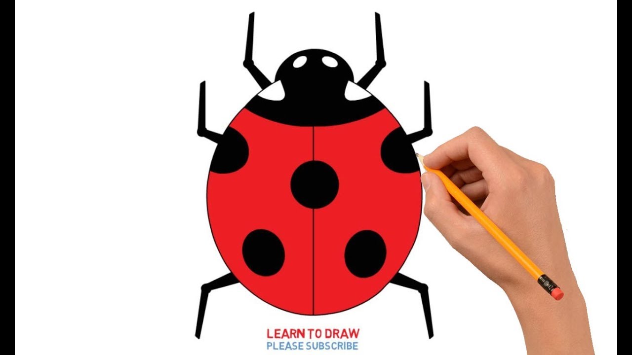 1280x720 How To Draw A Ladybug Step