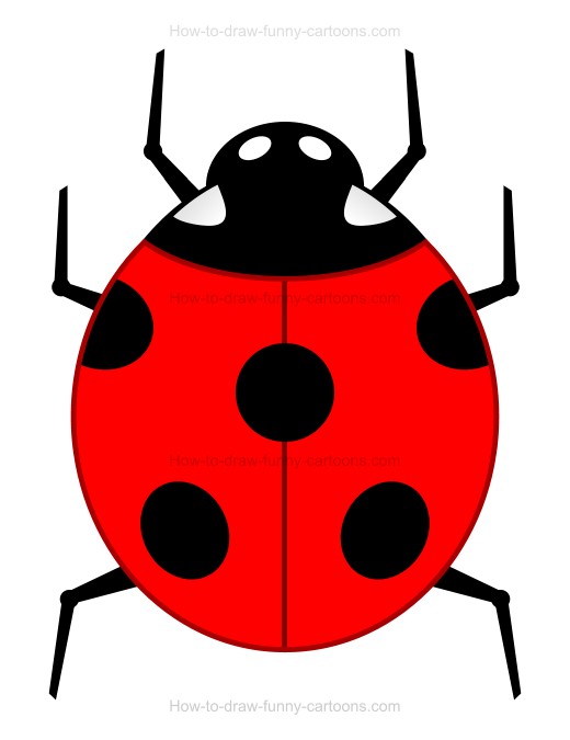 520x675 How To Draw A Cartoon Ladybug