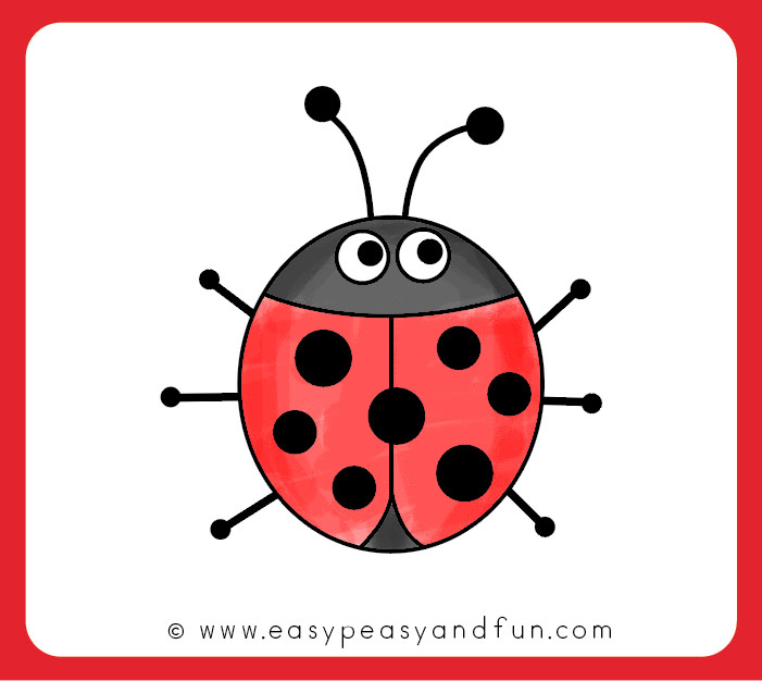 701x626 How To Draw A Ladybug
