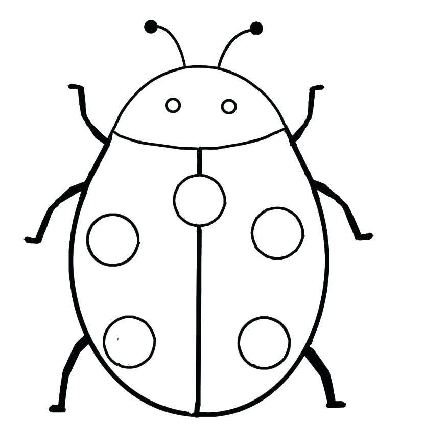 830x830 ladybug drawings day ladybug ladybug drawings easy