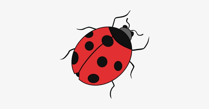 Easy Ladybug Drawing | Free download on ClipArtMag