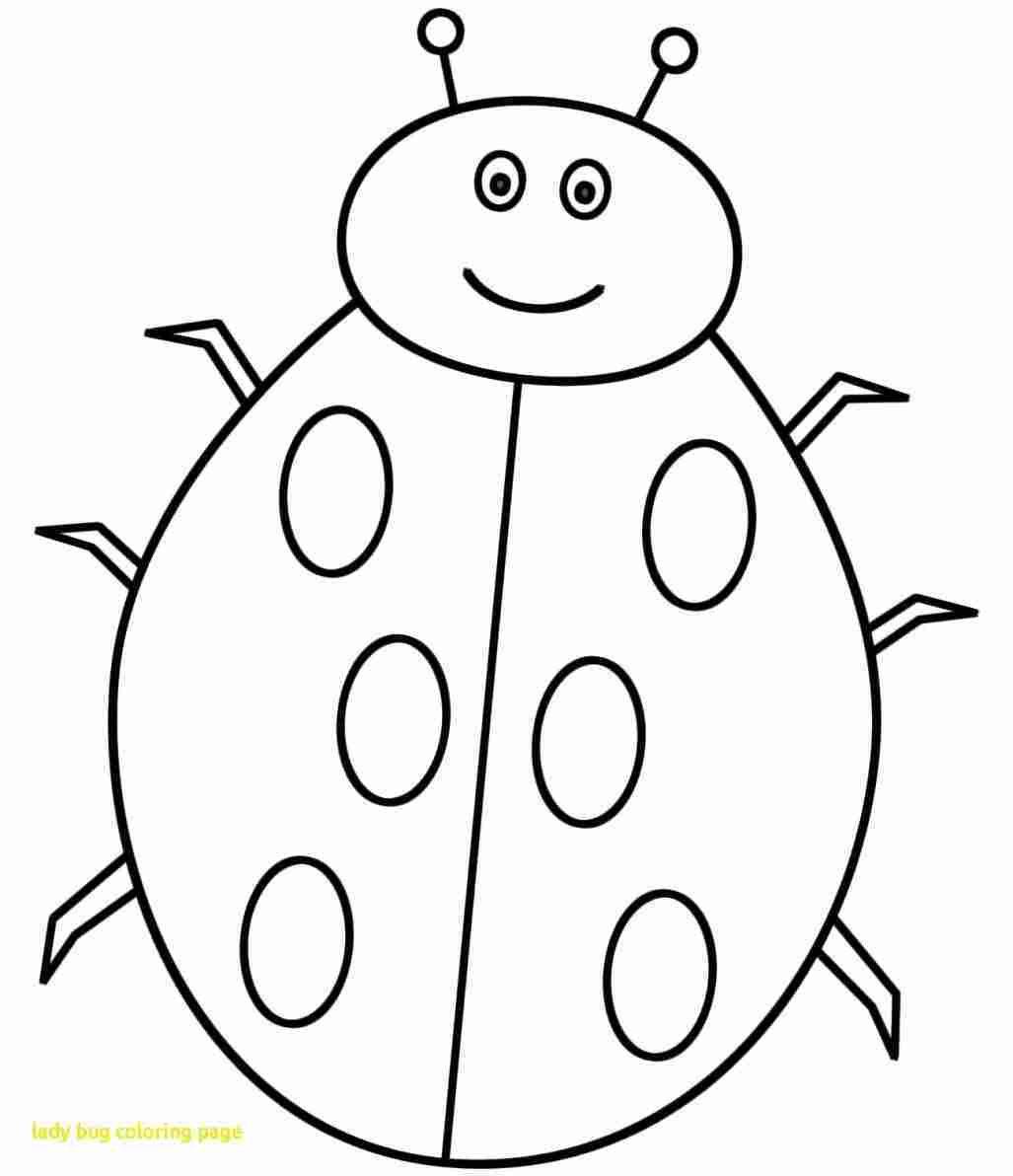 1027x1192 Easy Ladybug Drawing Gdpicture Us