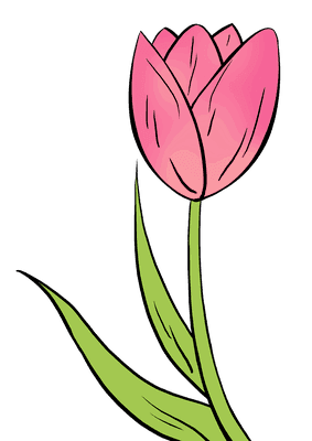 283x400 How To Draw A Tulip Really Easy Drawing Tutorial Bottle Art