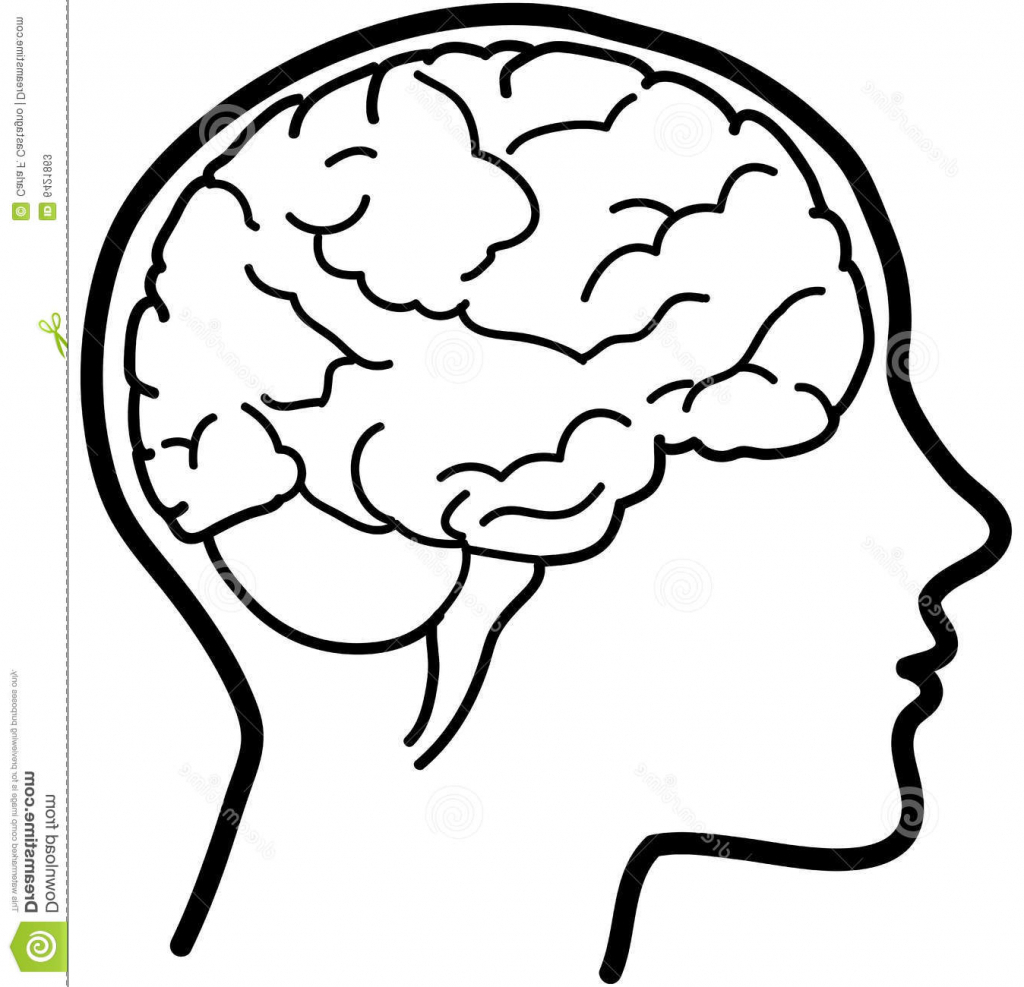 1024x987 Brain Drawing Easy For Free Download