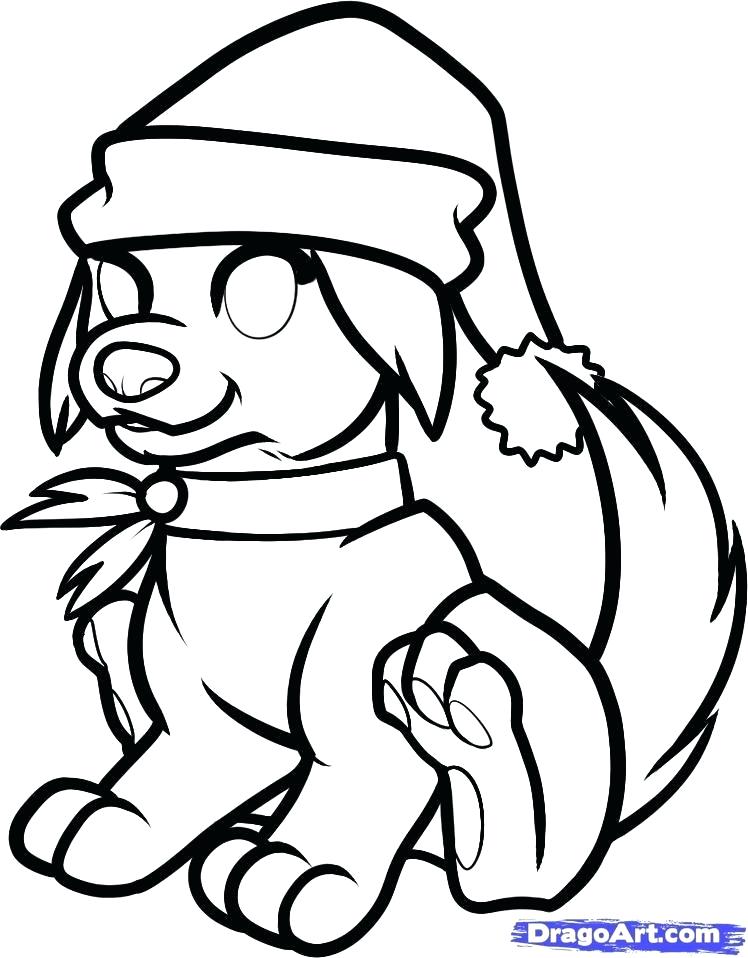 748x958 Drawing Christmas Stuff How To Draw Mistletoe Step