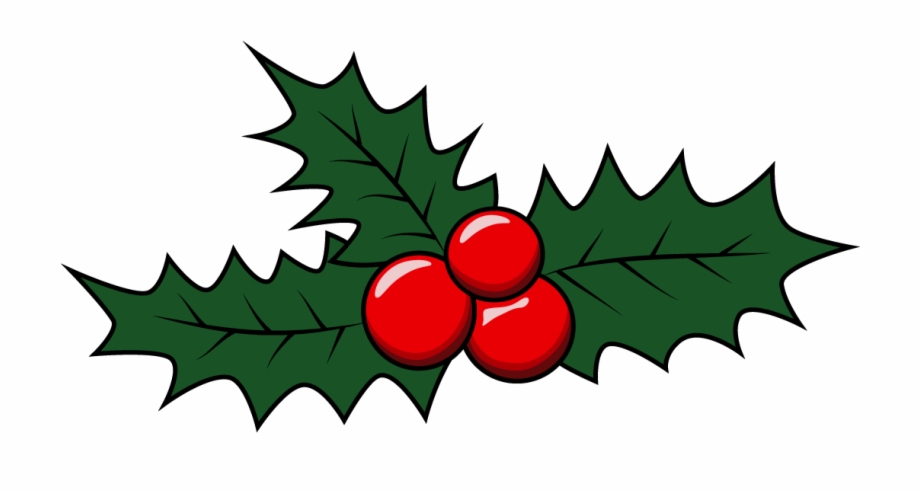 920x492 How To Draw Mistletoe, Christmas, Holidays, Easy Step