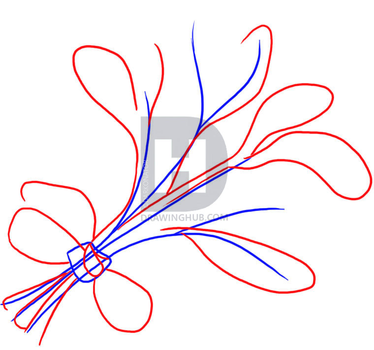 760x710 How To Draw Mistletoe, Step