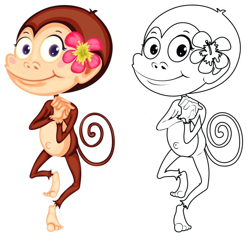 800x767 Monkey Drawing Cute Cute And Easy Monkey To Draw Cute Monkey