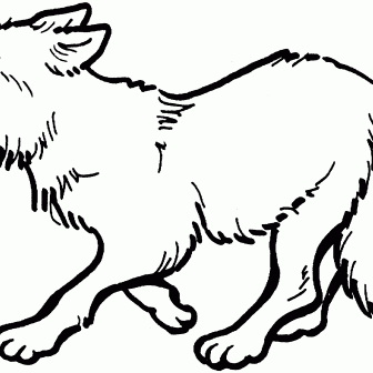 336x336 Wolf Howling At Moon Drawing Easy Head Step