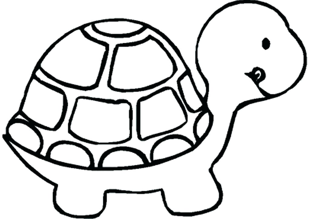 1024x724 turtle drawings turtle drawings turtle drawing