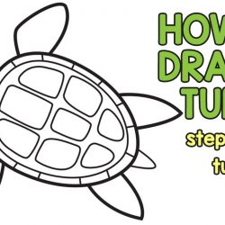 250x250 Easy Turtle Drawing Step
