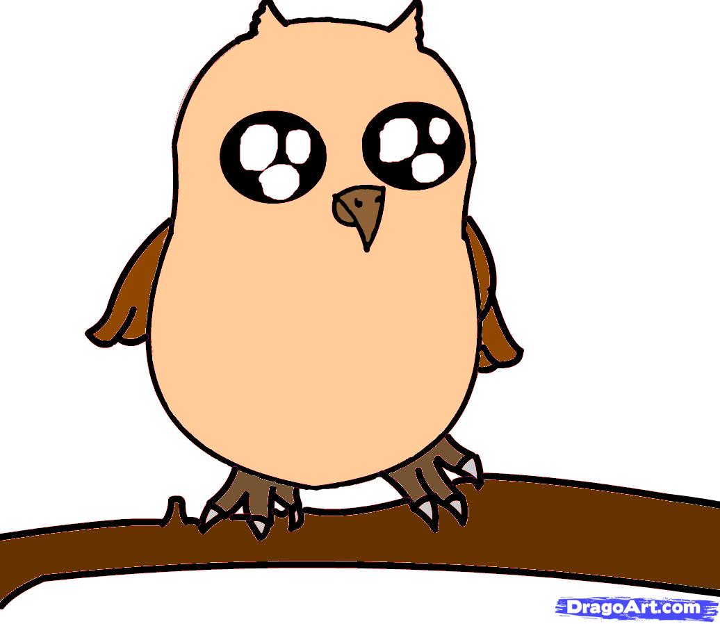 1036x898 How To Draw A Baby Owl, Step