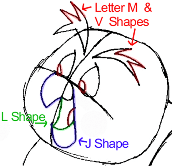 550x531 How To Draw Owl From Winnie The Pooh With Easy Step