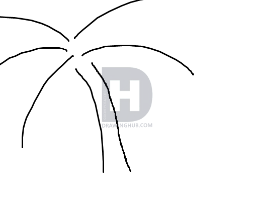 511x402 How To Draw A Palm Tree Easy, Step