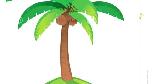 570x320 Palm Tree Drawings Fix Up Any Details You Like Or Draw More Until