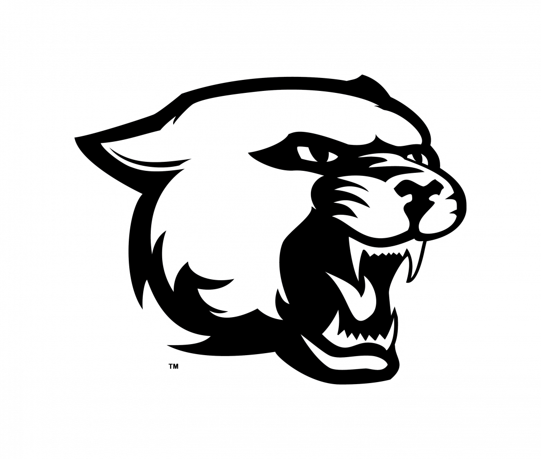 1084x919 Cool Animal Pen Drawings Tribal But Easy Made Up Step