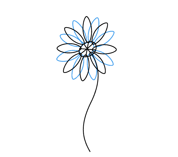 678x600 Collection Of Free Pen Drawing Daisy Download On Ui Ex