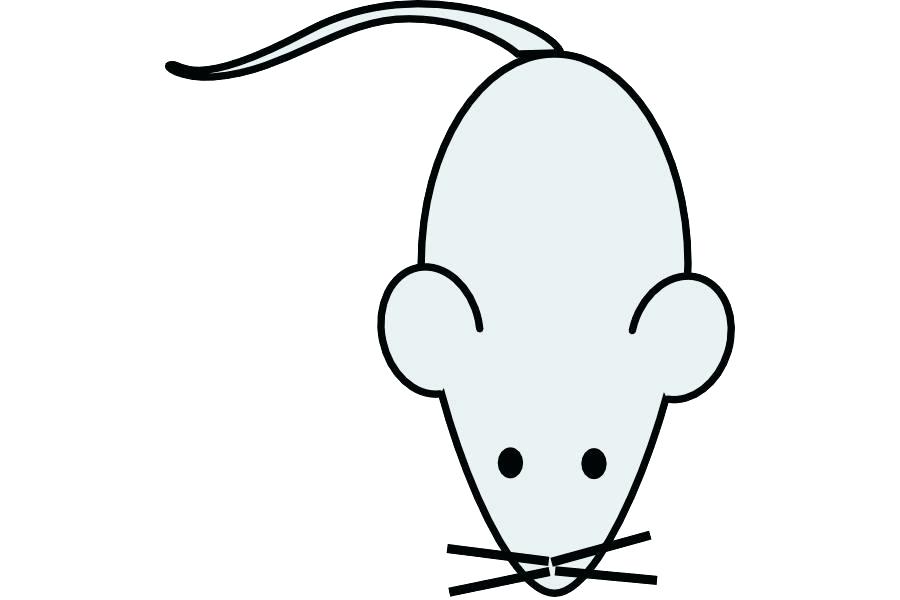 900x600 Easy Mouse Drawing