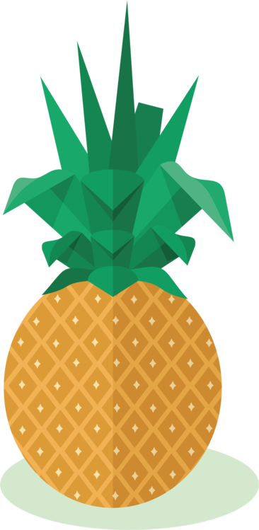 366x749 Huge Collection Of 'cartoon Pineapple Drawing' Download More Than