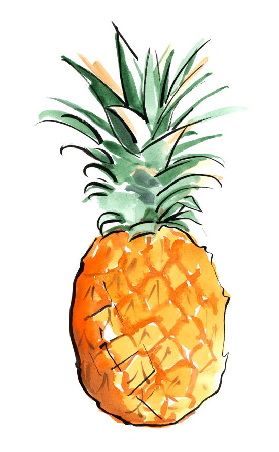 550x889 Pineapple Tagged As Fashion Illustration Food Fruit Illustration