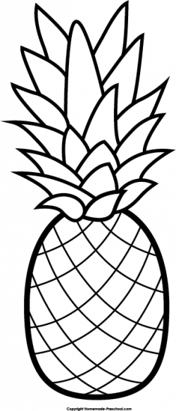 250x583 hatch drawing pineapple, picture