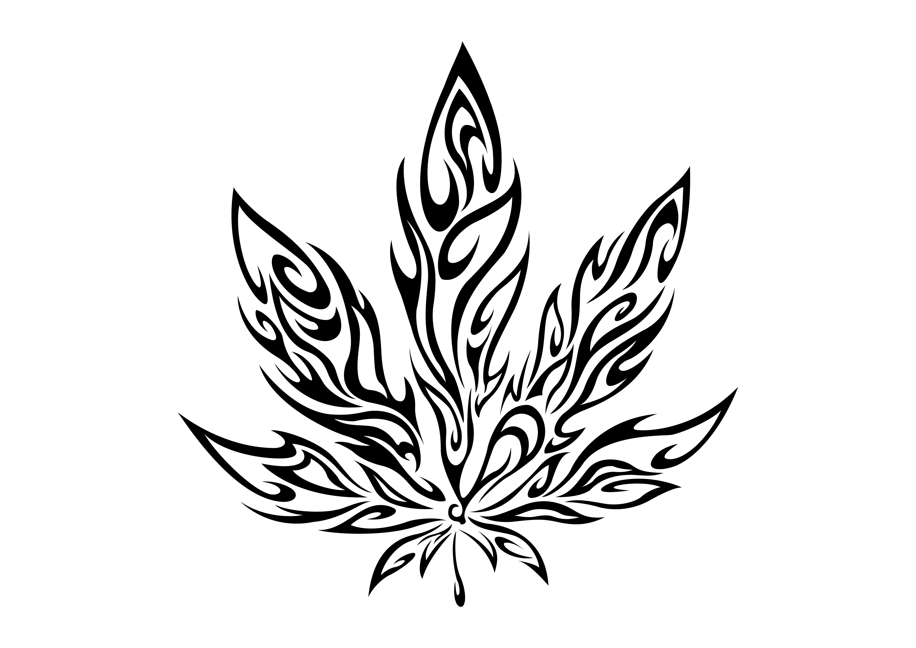 3508x2480 Pot Leaf Drawing