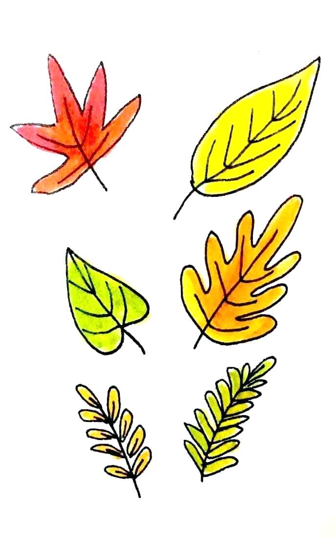687x1099 Drawings Of Leafs