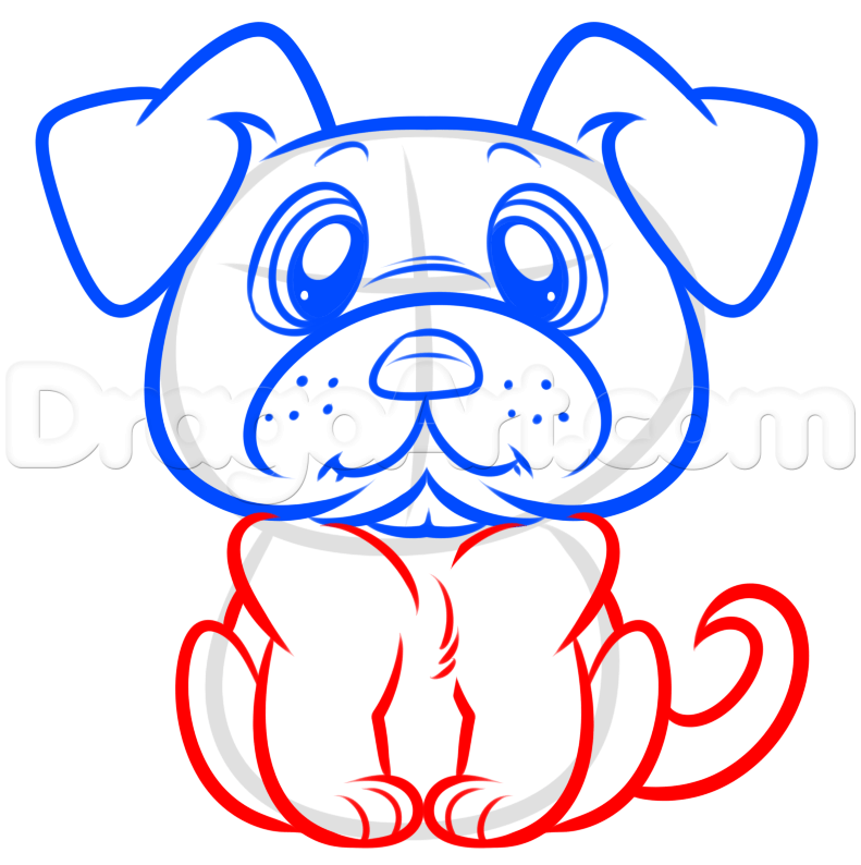 791x794 Draw A Pug Easy, Step