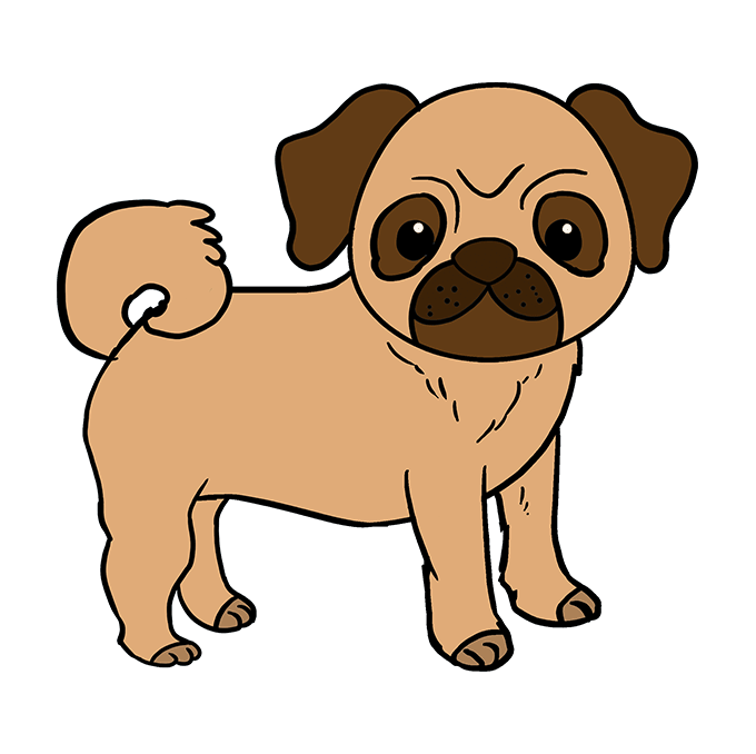 680x678 How To Draw A Pug