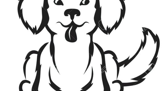 570x320 Drawings Of A Puppy Drawing Puppy Pet Drawings Easy