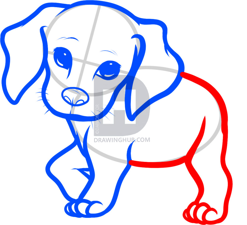 793x720 how to draw a beagle puppy, beagle puppy, step