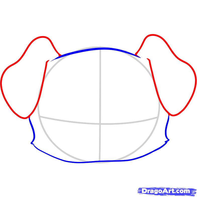 785x785 How To Draw A Puppy Face, Step