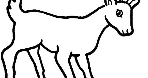 471x250 Puppy Face Drawing Easy Cute Pencil Husky Christmas Step