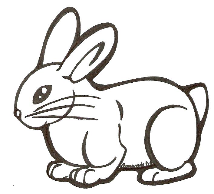 Easy Rabbit Drawing