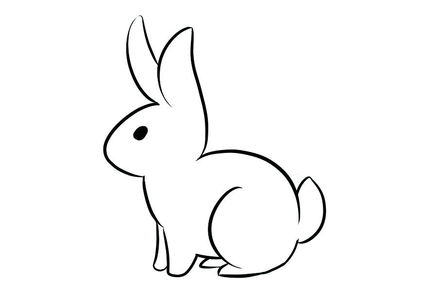 900x620 Rabbit Drawing Zupa
