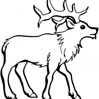 Easy Reindeer Drawing | Free download on ClipArtMag