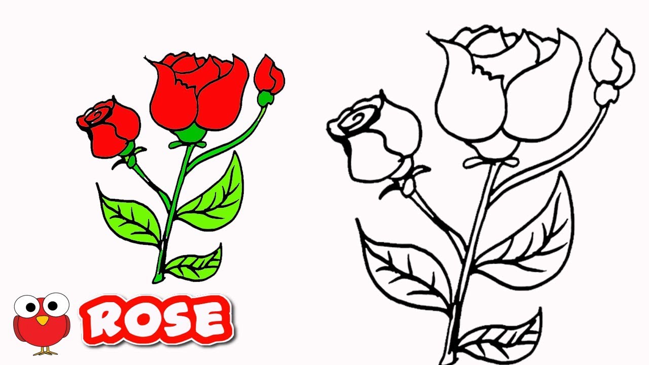1280x720 How To Draw A Rose Step