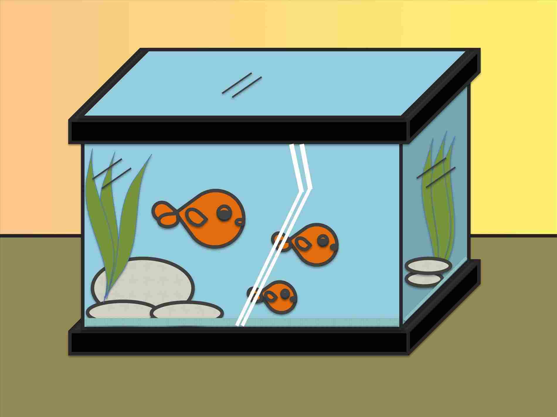 1900x1424 Tortoise Drawing Easy For Kids