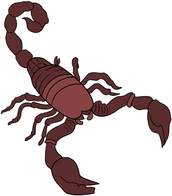 581x664 Drawing Scorpion Step