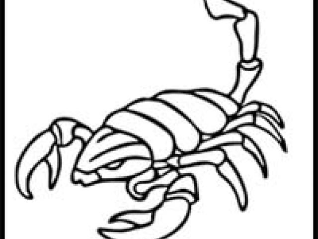 640x480 Free Drawn Scorpion, Download Free Clip Art