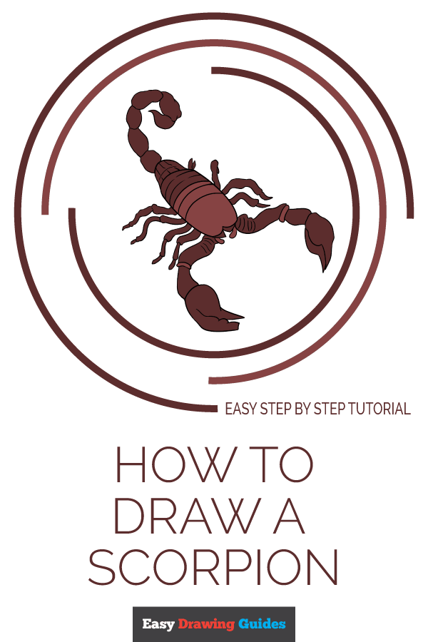 600x900 How To Draw A Scorpion